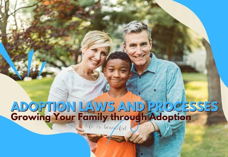 Adoption Laws and Processes: Growing Your Family through Adoption